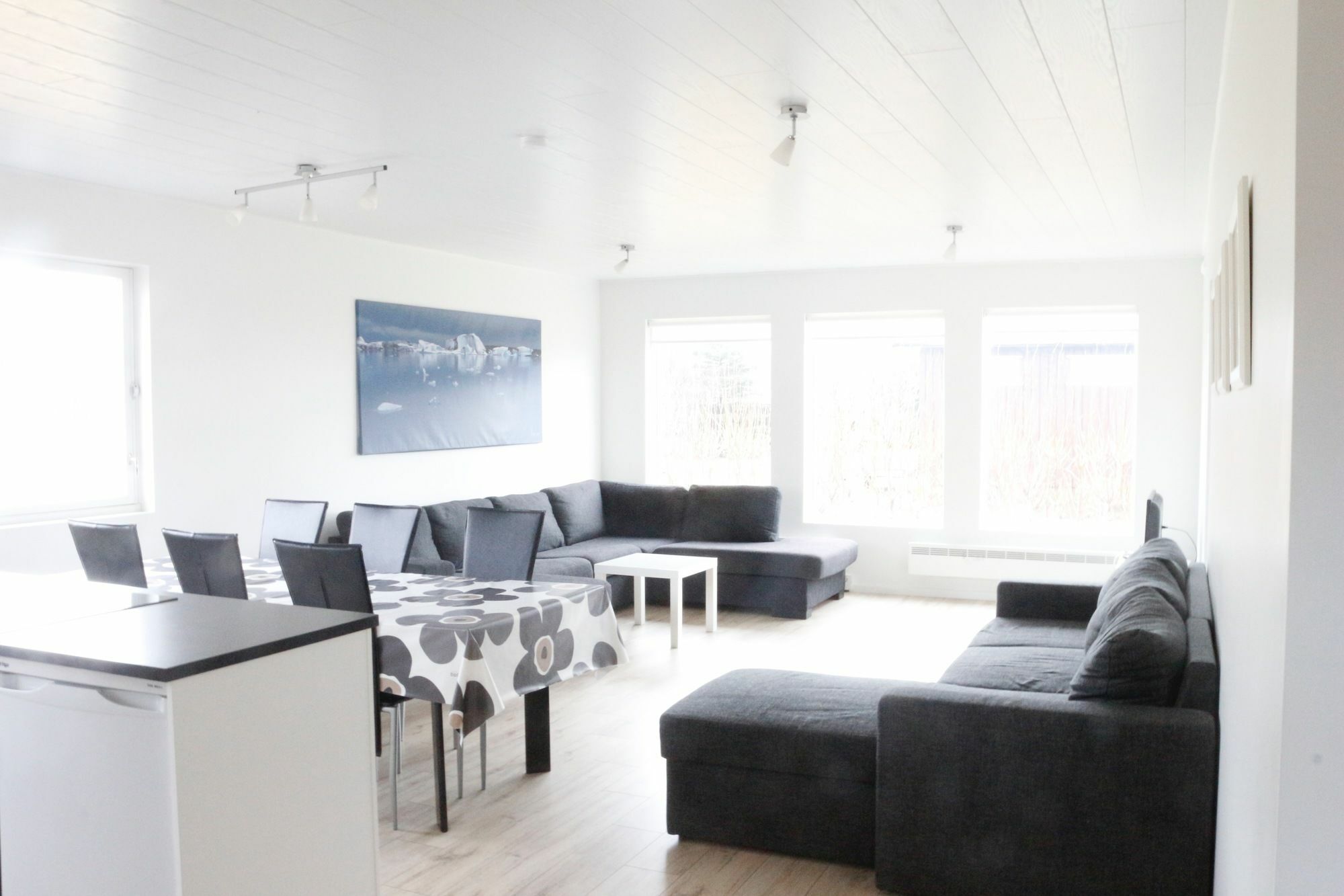 Glacier Inn Höfn Extérieur photo